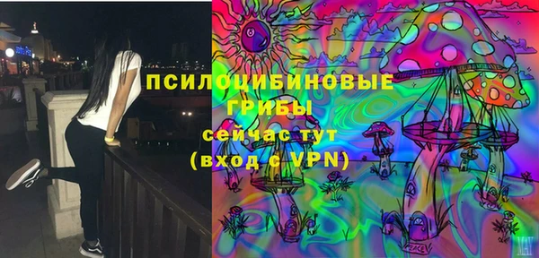 трава Вязьма