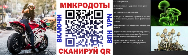 Купить закладки  Спас-Деменск  Псилоцибиновые грибы мицелий 